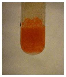 Aluminum Hydroxide