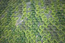 Facade Systems
